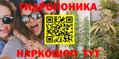 ГАЛЛЮЦИНОГЕННЫЕ ГРИБЫ Краснодар
