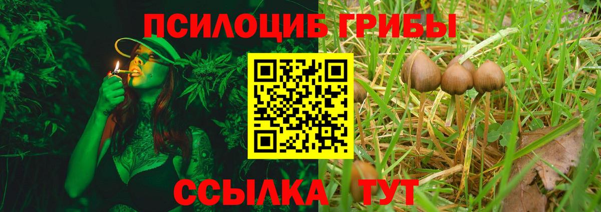 Псилоцибиновые грибы Magic Shrooms Кингисепп