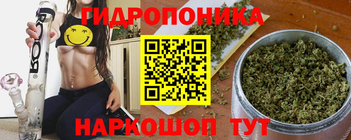 Бошки марихуана AK-47  МАРИХУАНА AK-47  Каннабис сатива  Кингисепп  Вход с VPN  Каннабис VHQ 