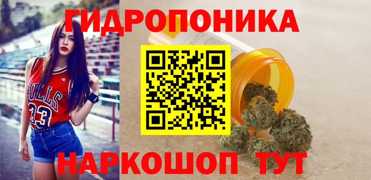 Бошки Шишки семена Кингисепп